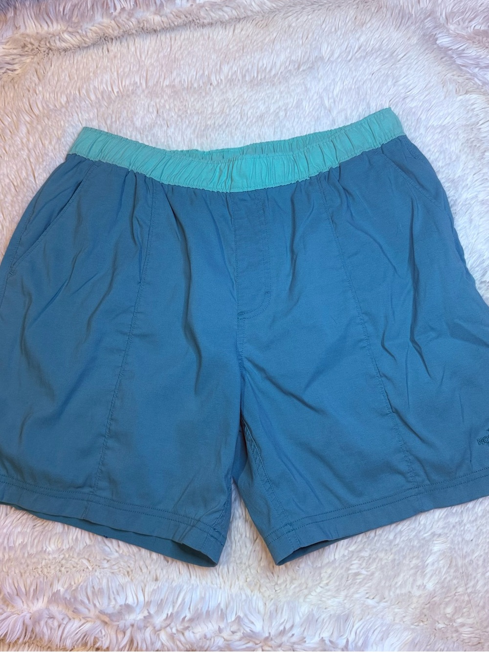 The North Face men’s size medium teal/light green shorts 7” inseam no liner